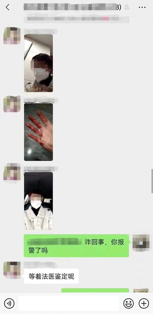 核酸作假爆料视频下载,下载背后的真相与争议